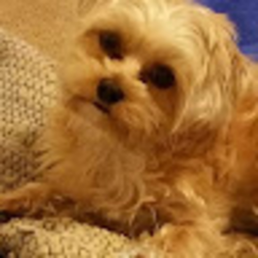 Meet your Posher, Denise